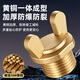 A beautiful brass thickened 4-point outer wire water pipe plug, quarter-triangular valve plug, faucet plug, explosion-proof 20 bulk head, 4-point external wire horn plug, copper color