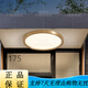 Heart mirror full copper outdoor ceiling light villa gate ultra-thin front light outdoor aisle balcony lamp mosquito-proof courtyard light X3893-500/square