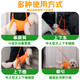 New dog auxiliary belt for outdoor traction and walking, rear leg auxiliary belt, elderly pet auxiliary belt, orange L, bust 47-65cm