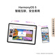 HUAWEI MatePad 11.5 S smart model 2025 Huawei tablet computer high-flash 2.8K ultra-clear full-screen student learning WIFI 12GB+256GB Frost Silver