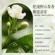 [Camellia Fragrance] Шампунь Camellia удаляет перхоть и контролирует нефтяной пушистый и длительный аромат, чтобы питать увлажнение и увлажнение увлажняющей 500 мл 2 бутылок с большой емкостью.