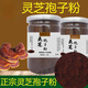 Beijing Tongrentang Powder Tou Dao Break Wall Ganoderma Lucidum Powder Spore Powder Oil Authentic Spore Spore 500G Ganoderma Lucidum Spore Powder [250 g por botella]