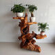 Root Talled Stand Tree Root Ornament Natural Log Sala de estar de madera maciza Base de pescado de bonsai de múltiples capas Balcón de hiedra verde H6130 Para más estilos, comuníquese con el servicio al cliente