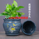 天南兄弟 TNBROTHERS新款陶瓷带托盘简约新中式阳台兰花  盆栽多肉定制WN 灰7170幸福一个 陶瓷中等