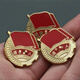 Mrs win (Mrs win) retired military badge retired commemorative veteran collection gift comrade-in-arms party commemorative brooch thickened 32mm retired military badge 2.5cm B07-204