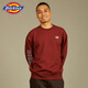
Dickies round neck sweatshirt autumn and winter new style men and women couple casual loose printed logo pullover top Cream white 12596 colorful LOGO-same style for men and women XS