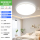 Philips LED ceiling light ultra-thin three-proof balcony light bedroom aisle simple corridor light Hengyan insect-proof and mosquito-proof 24W white light