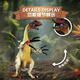 Bameka Scythe Dragon Large Solid Dinosaur Collection Model Toy Simulation World Jurassic Animal Gift