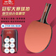 Pisces table tennis racket horizontal racket professional competition grade six-star anti-adhesive arc combined with fast attack speed power type including racket package Champion Professional Edition horizontal single racket including ball + racket bag