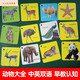 Shantoulin Village Children's Animal Cognitive Card Lehre AIDS -Bilder und identifizieren Dinge Charaktere und Muster Bücher Auflegen Baby Frühschulaufklärung Spielzeug Transportkasten/Senden des Aufbewahrungsrings