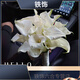 婚礼手捧花新娘结婚当天感婚纱照领证仿真郁金香求婚毕业花束 马蹄铃兰 新娘手捧花 0支