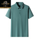 
Classic car ice silk short-sleeved T-shirt for men 2025 summer new business casual lapel comfortable thin breathable polo shirt for men 12358 military green M