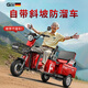 Galide high-power electric tricycle with shed for household use, small scooter for the elderly, mountain hauling, long-range electric tricycle, 48V600W naked bike (battery charger not included)