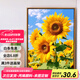 京佐（JINGZUO）向阳而生向日葵数字油画diy填色画客厅挂画装饰画手绘油彩画 SJ14382 40*50相框(颜色可选)+画笔颜料
