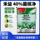 40% sclerotium purified sclerotinia, red spot, gray mold, sheath blight, rape, pepper, cucumber pesticide and fungicide 20g*30 bags