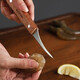 MAXCOOK oyster opener stainless steel oyster knife oyster opener thickened oyster scallop shell knife pry clam opener shrimp line knife MCD1437