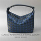 Montana West Luxury High-End-Marke High-End Frühling und Sommer Neue Lunchbox-Tasche Frauenbeutel Bento-Tasche ABERARM BACK HANDWOMEN