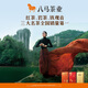 Bama Tea Black Tea Wuyishan Lapsang Souchong Grade 1 250g Can