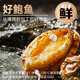 Linglue Fujian fresh frozen large abalone, net weight 400g, 8 pieces box, abalone hot pot barbecue, shellfish and seafood, fresh