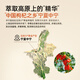 同仁堂（TRT）枸杞宁夏红枸杞子头茬新货中宁免洗苟杞子枸杞茶泡水泡酒190g