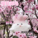 Wuhan kultureller und kreativer Knoblauchvogel Souvenirs Hubei Friedensvogel Schlüsselbirge Plüsch Spielzeugpuppe Anhänger White Wuhan Knoblauchvogel [1 Pack] Wuhan Knoblauch Bird Rucksack Anhänger Desktop Ornamente