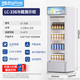 Bingxiong Displayschrank gekühltes Frischlagerschrank kommerzielle Gefrierschrankwein Direkter kaltes vertikaler Supermarkt Convenience Store Bar Biergetränkschrank Displanschrank 338 Eingangstür Displayschrank/Energieeinsparung und niedriger Verbrauch 540*530*1695