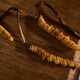 Guancaigui [Naru, Tibet] Wild Cordyceps Sugar Sugar Diefments для старейшин и подарочная коробка для пожилого питания Cordyceps Практическая выбранная [дикая сломанная трава] 10G подарочная коробка