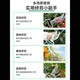 Shida manual pruning shears, fruit tree gardening scissors, extended durable tool shears, pruning branches, floral shears, labor-saving 05901 curved blade_8 inches 20cm long