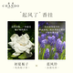 The fragrance is blowing incense hanging car aromatherapy car perfume white stone incense hanging clothes cabinet hanging ornaments long-lasting gift two-piece early summer gardenia + blue wind chime