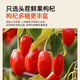 同仁堂（TRT）枸杞宁夏红枸杞子头茬新货中宁免洗苟杞子枸杞茶泡水泡酒190g