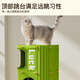Bei Chuzhong Cat Nest Play and Sleep Integrated Cat Scratching Board All-season Double-layer Cat Nest Cat Climbing Frame Cat House Tree Hole Cat Nest Villa Toy Four-layer Olive Green Upgraded Thickening and Reinforcement Multi-cat Family Gospel/Toy Furniture Integrated