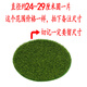 Simulated round grass floor mat, green turf, micro landscape, bonsai moss, desktop sandbox model, decorative green lawn, tender green powder bag 50g (excluding glue)
