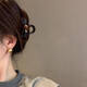 Xiaoqingcucumber 520 Подарочный объект Bust Clip Женский темперамент Shark Clip Light Luxury High-end Send Send Back Hair Clip Accessories F3206 Шоколадная коричневая майлард Высокий клад