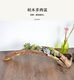 Succulent wood flower tank natural log wood root dead wood flower pot Zen Dendrobium succulent plant rotten wood flower pot Black 1355