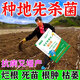 Soil-specific disinfectant and fungicide, soil-borne anti-recropping nemesis microbial agent, general land conditioner for farmland, soil fungicide, 2 bags