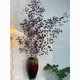 Apple eucalyptus dried flowers indoor living room office immortal flower base straight hair niche immortal apple eucalyptus leaves 100-130cm1 tied purple red