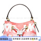 Mike Coles (Michael Kors) Krawatten-Dye-Kordelkordel, Leinwand, Eimerbeutel, Schulter-Cross-Body-Tasche, klein, Frauenstil, Wassermelonenrot, Basispaket (Bag + Staubbeutel)