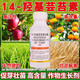 14 HydroxyBrassinosteroid Plant Growth Regulator Fruit Trees and Vegetables Increase Production Genuine Foliar Fertilizer Promotes Flowering and Fruit 1 Bottle 500g/Bottle