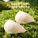 
Tongrentang (TRT) Dry bird's nest bird's nest gift box Indonesian native dried bowls for elders to give parents 50g supplements for pregnant women