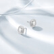 Chao Acer Bo Ya Fangyuan platinum earrings for women PT950 earrings brushed geometry as a gift for your girlfriend, priced at 290 yuan, 2.2g, one pair (free silicone ear plugs)