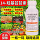 14 HydroxyBrassinosteroid Plant Growth Regulator Fruit Trees and Vegetables Increase Production Genuine Foliar Fertilizer Promotes Flowering and Fruit 1 Bottle 500g/Bottle