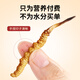 
Tongfu Cordyceps sinensis 3 roots/g 20g 60 roots gift box, nourishing nutritional supplements, gifts for elders