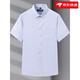 Tienda oficial de Yageor Flagship 2025 Summer NUEVA Camisa de manga corta para hombres para negocios, no escaladera, rayas antihorlyas y hombres transpirables en el lugar de trabajo DX6621 43 [170-180Jin [Jin equivale a 0.5 kg]]]