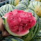 Kirin Meidu watermelon seeds with thin skin, crack-resistant, few seeds, super sweet and crispy 8424 round watermelon Meidu watermelon seeds, 200 pieces original Kirin Meidu 3 bags