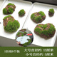 Simulated round grass floor mat green space turf micro landscape bonsai moss desktop sand table model decoration green plant lawn 6 sawdust foam small stones cannot be soaked in water