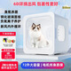Caja de secado para mascotas Bile, secador doméstico para gatos, baño para perros, máquina de soplado de pelo, caja de secado silenciosa de gran espacio, modelo mejorado