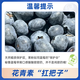 Jingxiansheng Imported Peruvian Blueberry Big Mac 20mm+ 4 boxes 125g/box fresh fruit straight from the source