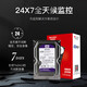 海康威视（HIKVISION）硬盘网络录像机用机械硬盘西数6TB存储紫盘nas台式机服务器垂直CMR3.5英寸