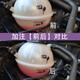 Volkswagen Antigel a adapté à Xialangwei Touareg Maitway Audi G12evo Antifreeze Craquage 12131kg 0c Antifreeze rose Original