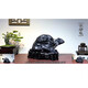 Linku Anhui Lingbi Stone Lingbi Stone Dornaments Boutique Backing Mountain Natural Raw Stone Taihu Stone Strange Stone Livel Room Китайская каменная одежда желтая 695 Fudong Lingxiao укрывает ветер и дождь